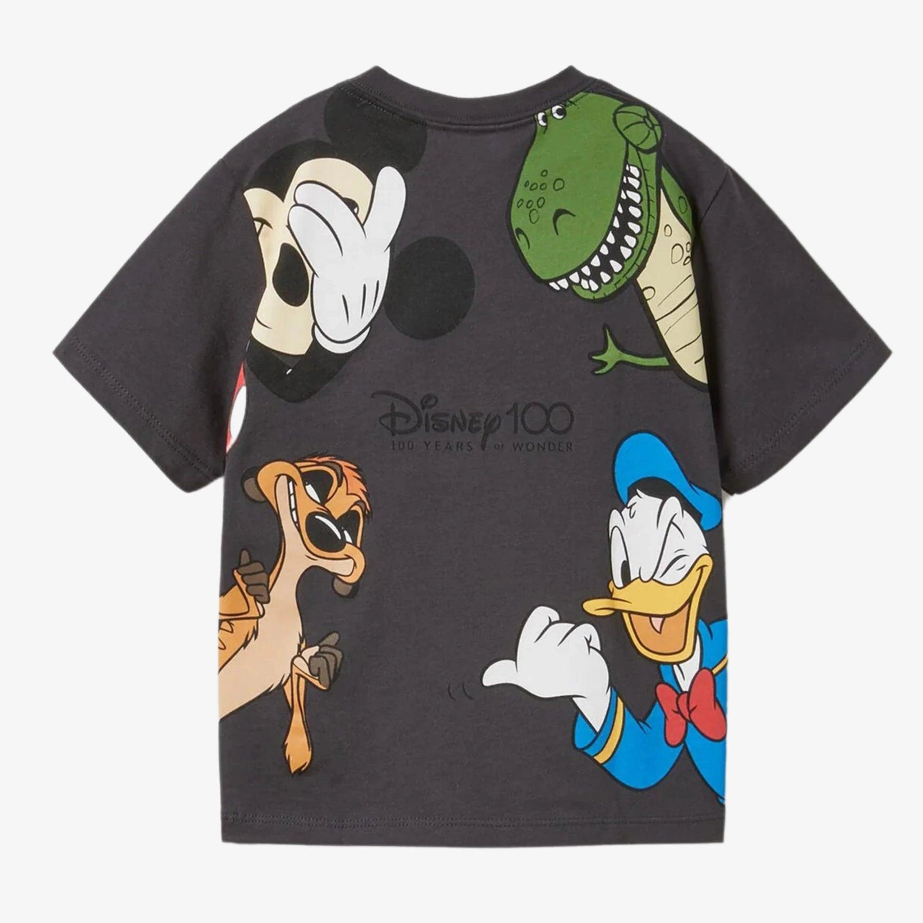 Camiseta Infantil Disney 100 Anos - Edição Limitada - ZBaby